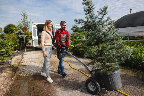 Best Tree Branch Trimming  in USA